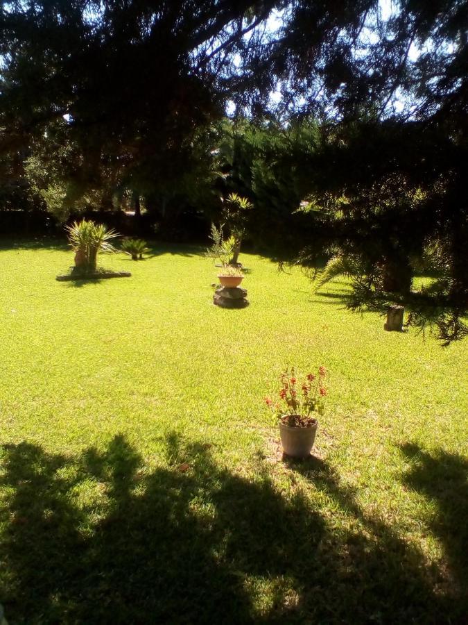 Mamena Bed & Breakfast Paestum Exterior photo