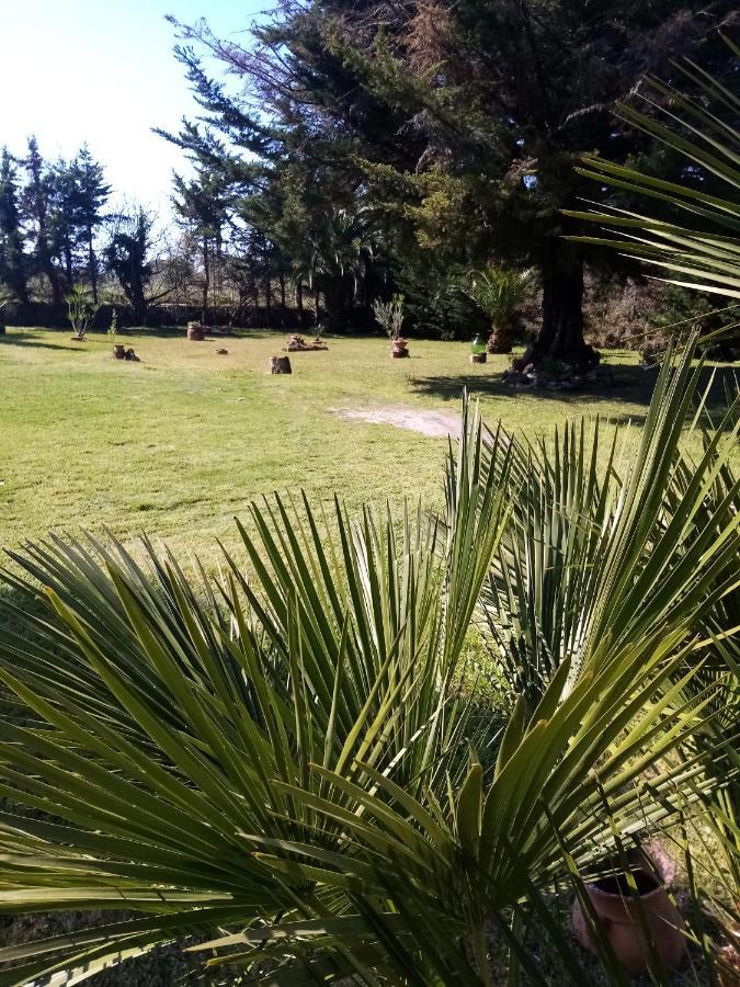 Mamena Bed & Breakfast Paestum Exterior photo